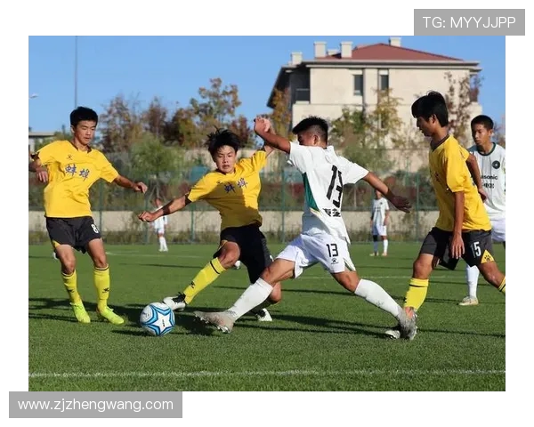 足球的魅力与激情探秘：从赛场到球迷文化的全景解读