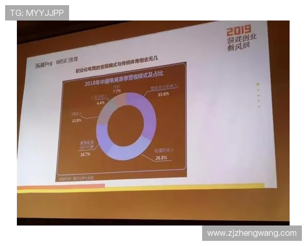 聚焦电竞职业联赛发展探讨赛事体系创新与选手职业化路径